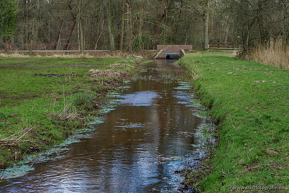 Bekenstelsel rondom Uddel 290320-136