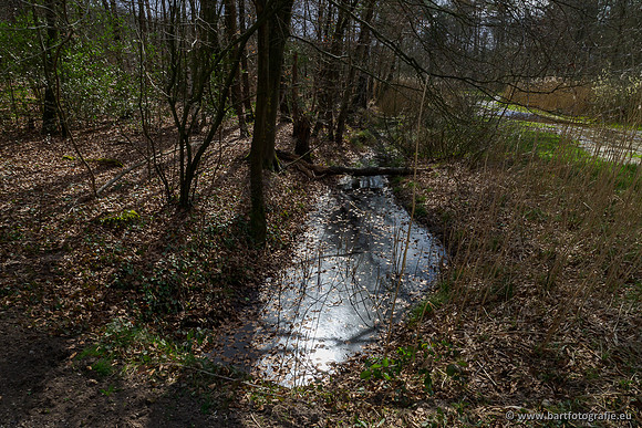 Bekenstelsel rondom Uddel 290320-139