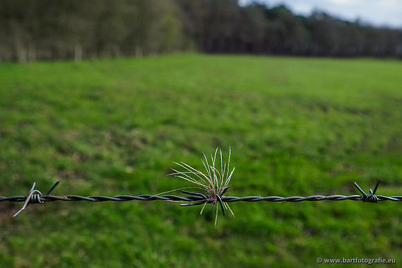 Bekenstelsel rondom Uddel 290320-146