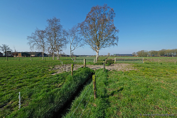 Bekenstelsel rondom Uddel 270320-005