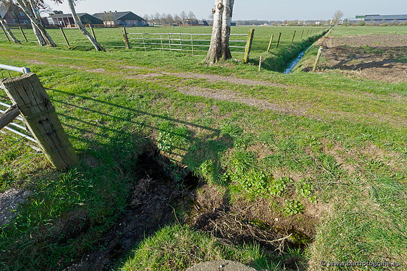 Bekenstelsel rondom Uddel 270320-006