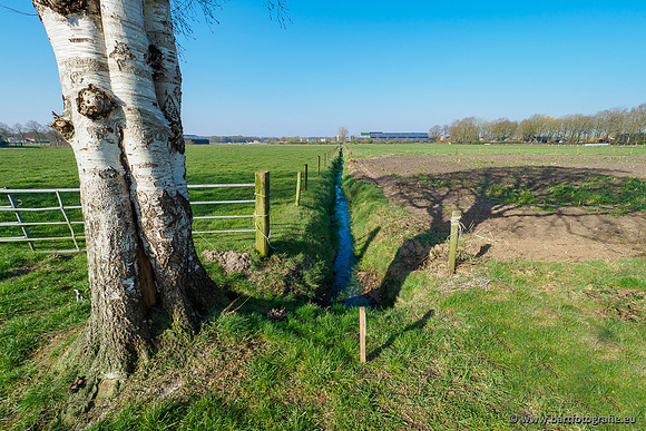 Bekenstelsel rondom Uddel 270320-007