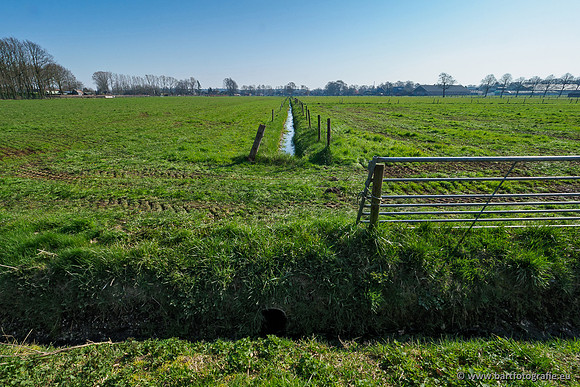 Bekenstelsel rondom Uddel 270320-009