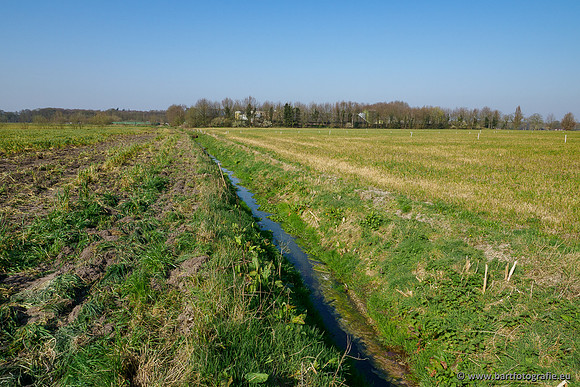 Bekenstelsel rondom Uddel 270320-016