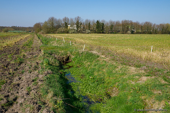 Bekenstelsel rondom Uddel 270320-017