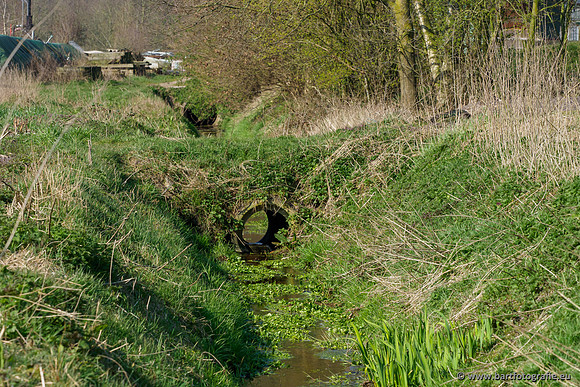 Bekenstelsel rondom Uddel 270320-019