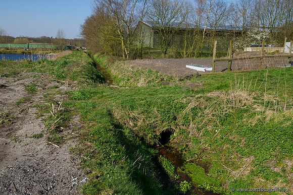 Bekenstelsel rondom Uddel 270320-018