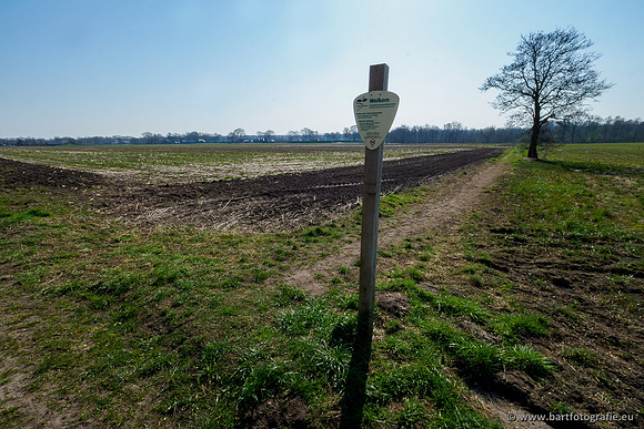Bekenstelsel rondom Uddel 270320-025