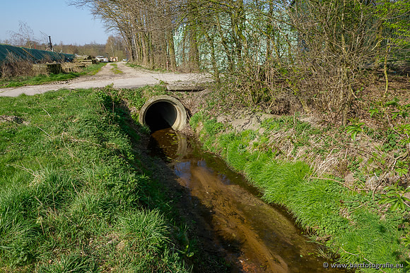 Bekenstelsel rondom Uddel 270320-027