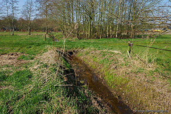 Bekenstelsel rondom Uddel 270320-036