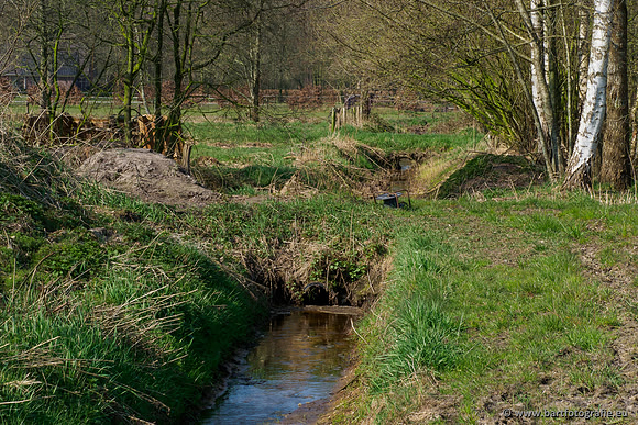 Bekenstelsel rondom Uddel 270320-037