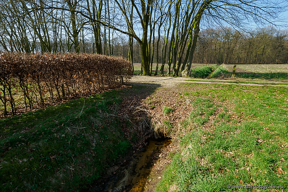 Bekenstelsel rondom Uddel 270320-039