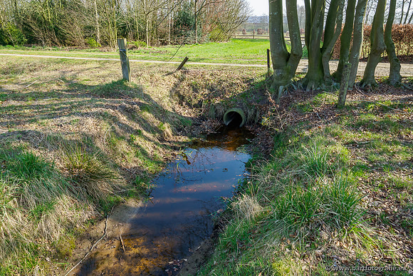 Bekenstelsel rondom Uddel 270320-041