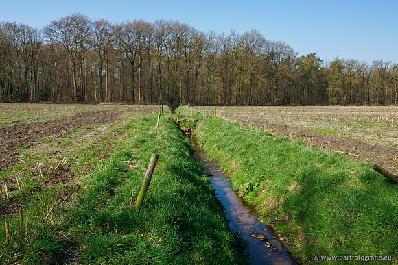 Bekenstelsel rondom Uddel 270320-043