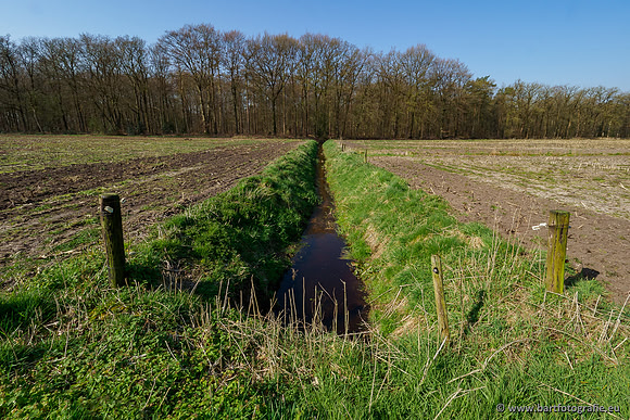 Bekenstelsel rondom Uddel 270320-044