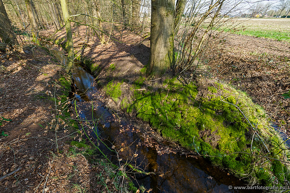Bekenstelsel rondom Uddel 270320-047