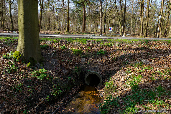 Bekenstelsel rondom Uddel 270320-052