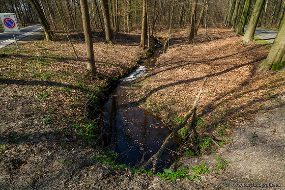 Bekenstelsel rondom Uddel 270320-055