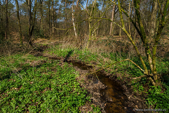 Bekenstelsel rondom Uddel 270320-062