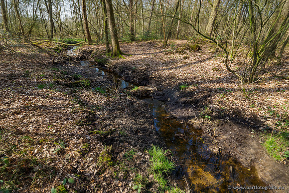 Bekenstelsel rondom Uddel 270320-064