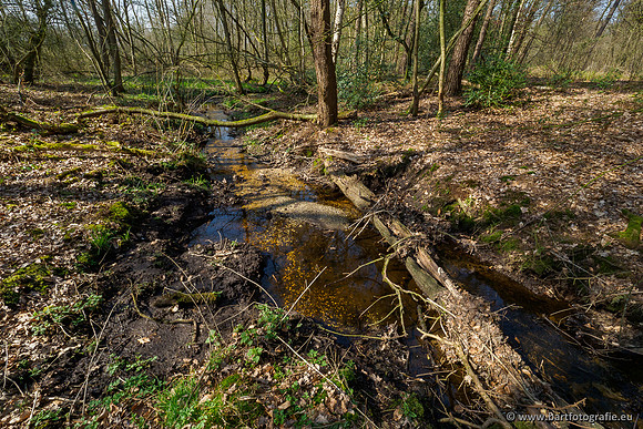 Bekenstelsel rondom Uddel 270320-065