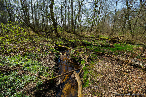 Bekenstelsel rondom Uddel 270320-070