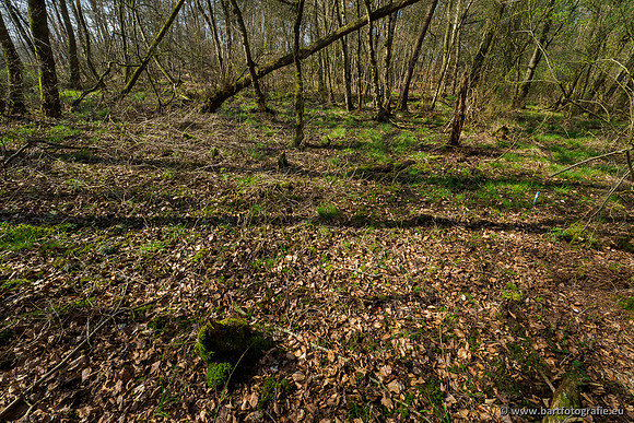 Bekenstelsel rondom Uddel 270320-071