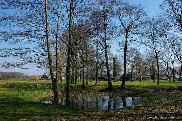 Bekenstelsel rondom Uddel 270320-076