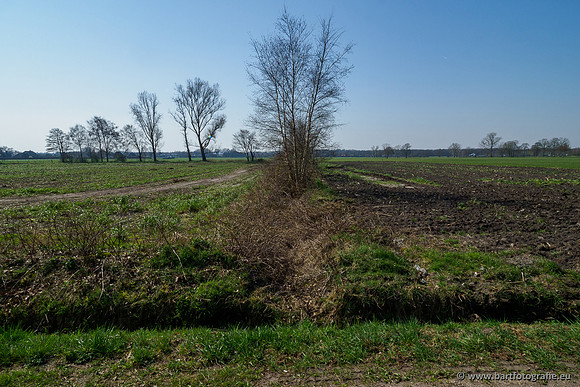 Bekenstelsel rondom Uddel 270320-078