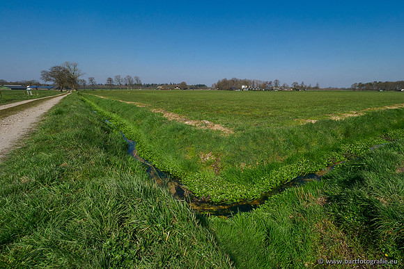 Bekenstelsel rondom Uddel 270320-079