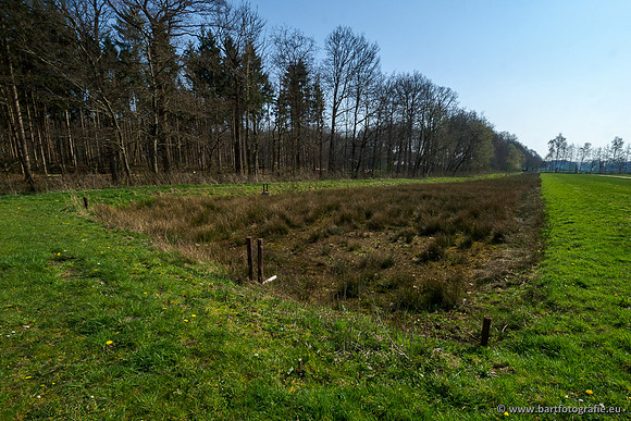Bekenstelsel rondom Uddel 270320-086