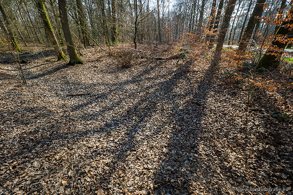 Bekenstelsel rondom Uddel 270320-096