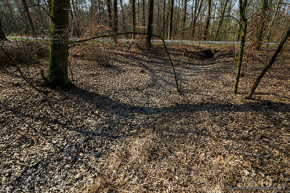 Bekenstelsel rondom Uddel 270320-097
