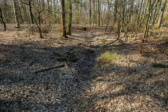 Bekenstelsel rondom Uddel 270320-098
