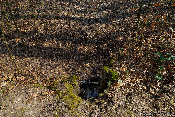 Bekenstelsel rondom Uddel 270320-099