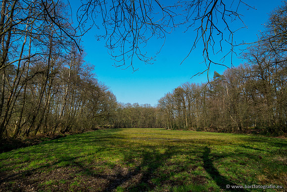 Bekenstelsel rondom Uddel 270320-110