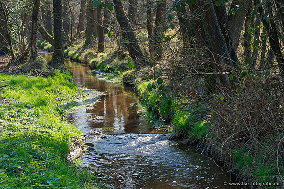 Bekenstelsel rondom Uddel 270320-114