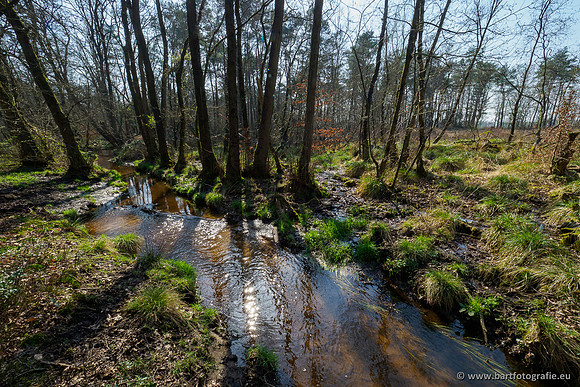 Bekenstelsel rondom Uddel 270320-121