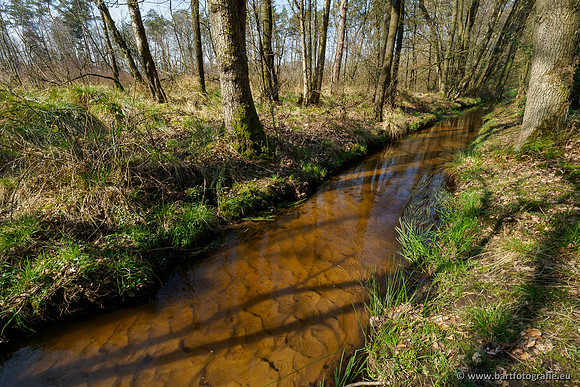 Bekenstelsel rondom Uddel 270320-123