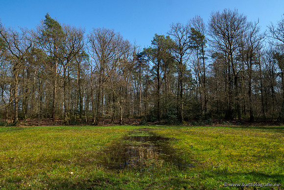 Bekenstelsel rondom Uddel 270320-124