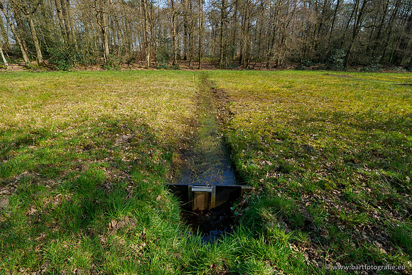 Bekenstelsel rondom Uddel 270320-125