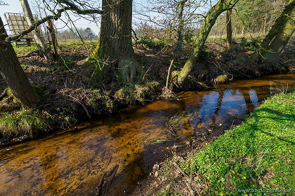 Bekenstelsel rondom Uddel 270320-130