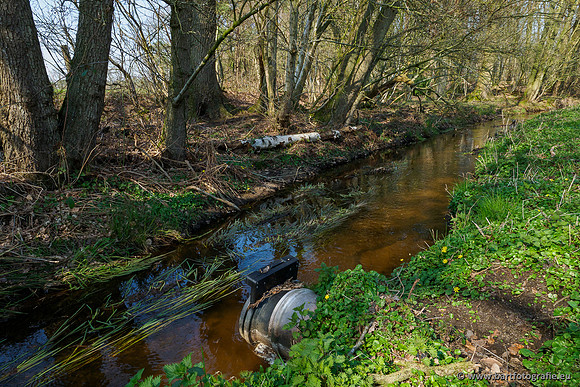 Bekenstelsel rondom Uddel 270320-131