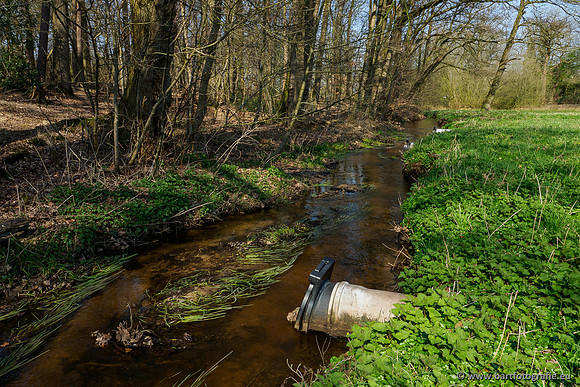 Bekenstelsel rondom Uddel 270320-132