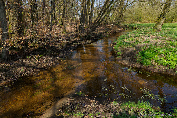 Bekenstelsel rondom Uddel 270320-134