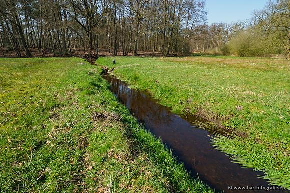 Bekenstelsel rondom Uddel 270320-138