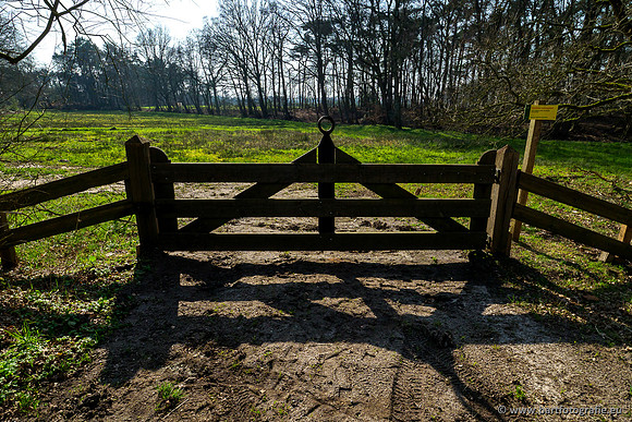 Bekenstelsel rondom Uddel 270320-145