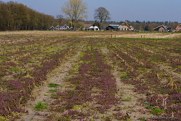 Bekenstelsel rondom Uddel 270320-157