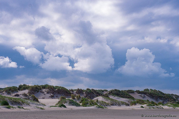 Selectie 2021, Bart Fotografie-087