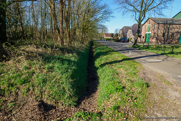 Beken rondom Elspeet 310320-007